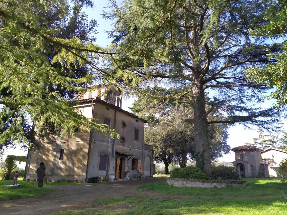 Agriturismo La Villetta San Lorenzo Nuovo Bagian luar foto