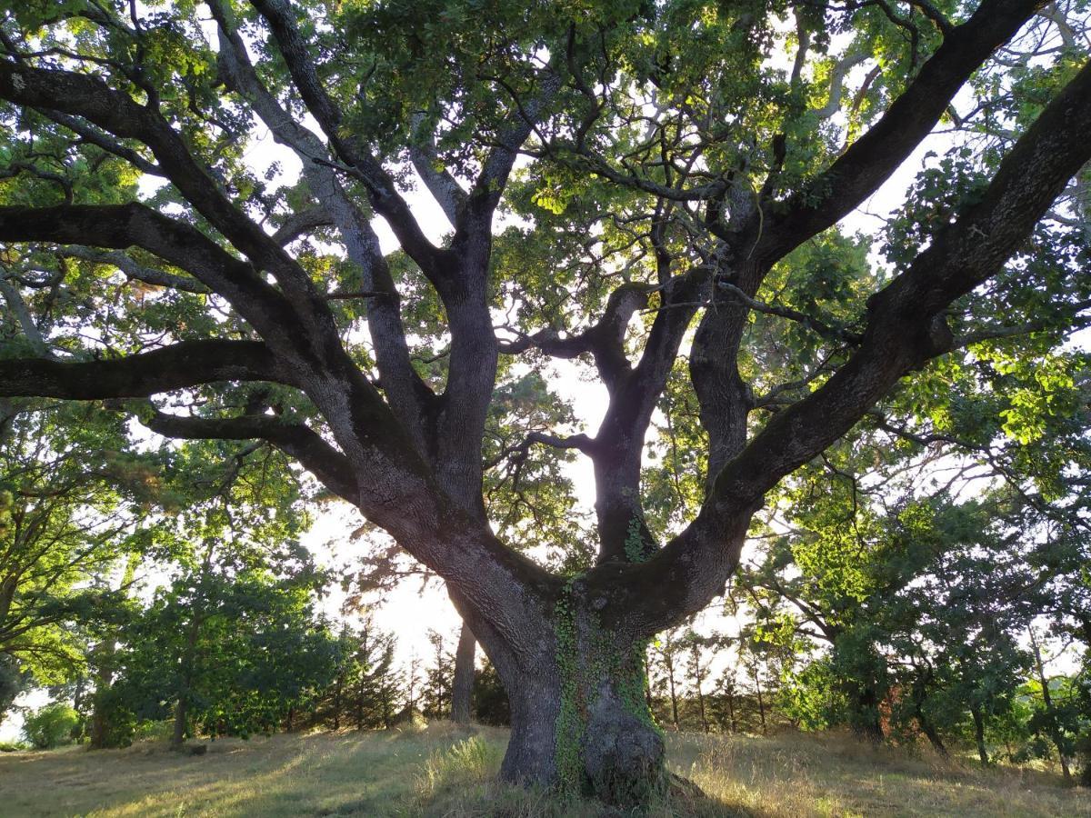 Agriturismo La Villetta San Lorenzo Nuovo Bagian luar foto