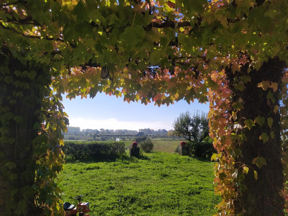 Agriturismo La Villetta San Lorenzo Nuovo Bagian luar foto