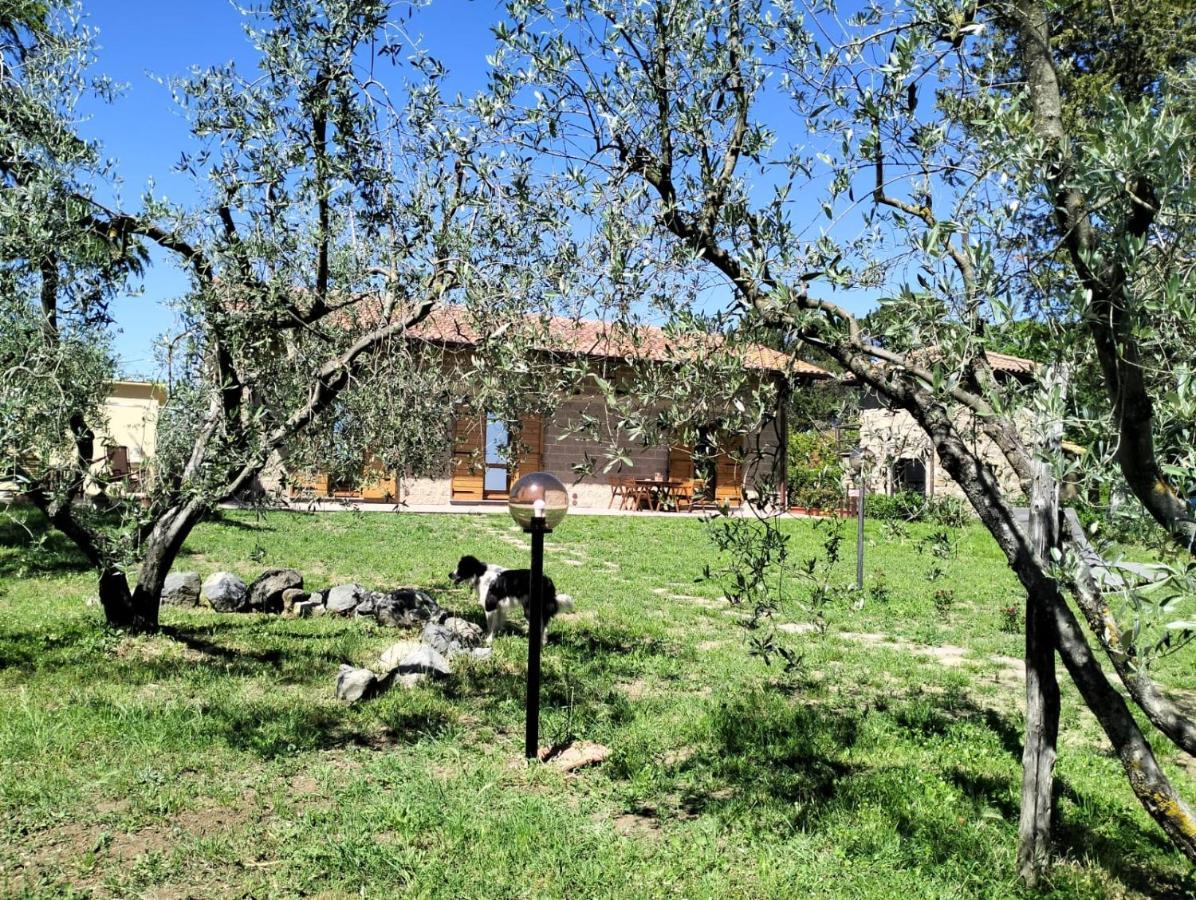 Agriturismo La Villetta San Lorenzo Nuovo Bagian luar foto